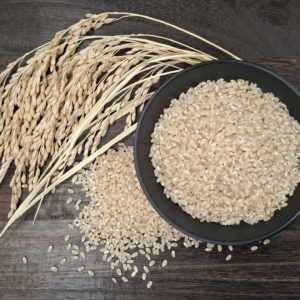 令和8年度 朝日 定期便ご予約