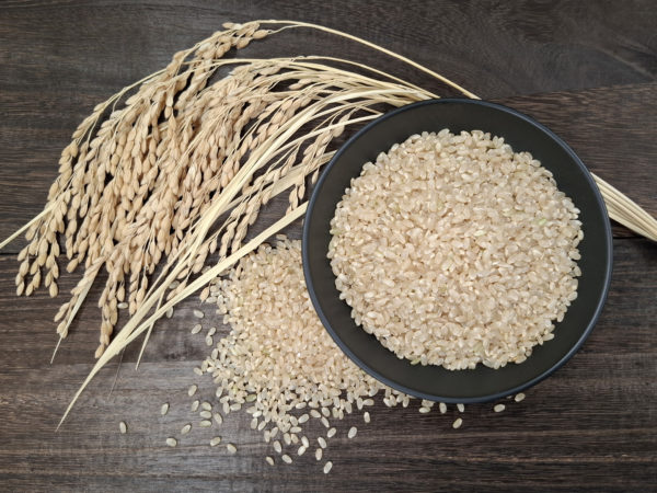 令和7年度 ヒノヒカリ